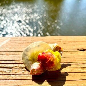 Handcrafted Shell Hair Clip